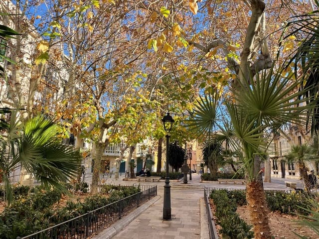 3 Zimmer Apartment zu verkaufen in Cort, Palma de Mallorca - 950.000 € (Ref: 8807344)