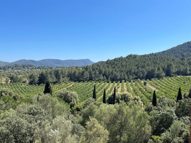 5 sypialnia Willa na sprzedaż w Establiments, Palma de Mallorca z basenem garażem - 1 600 000 € (Ref: 9002616)