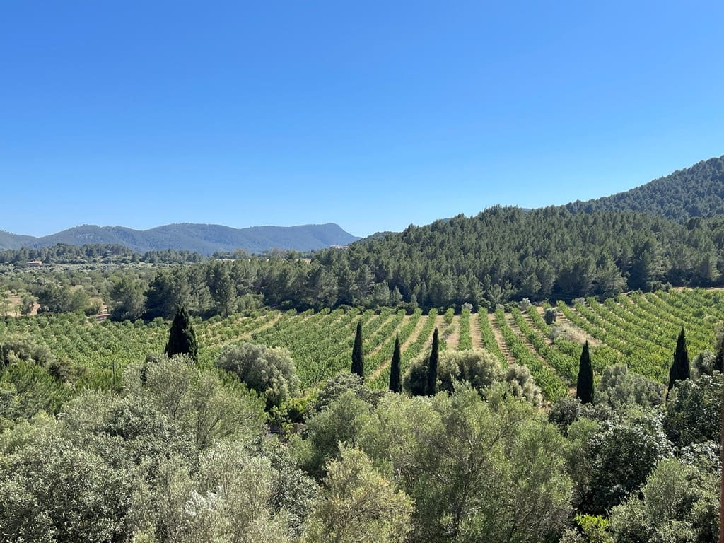 5 soveværelse Villa til salg i Establiments med swimmingpool garage - € 1.600.000 (Ref: 9002616)