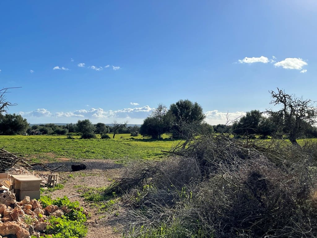 1 chambre Villa/Maison à vendre à Campos avec piscine - 598 000 € (Ref: 9033435)