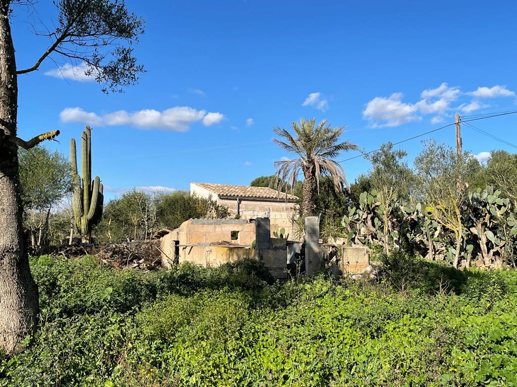 1 chambre Villa/Maison à vendre à Campos avec piscine - 598 000 € (Ref: 9033435)