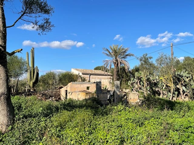 1 chambre Villa/Maison à vendre à Campos avec piscine - 598 000 € (Ref: 9033435)