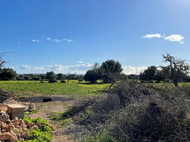 1 soverom Villa til salgs i Campos - € 498 000 (Ref: 9033435)