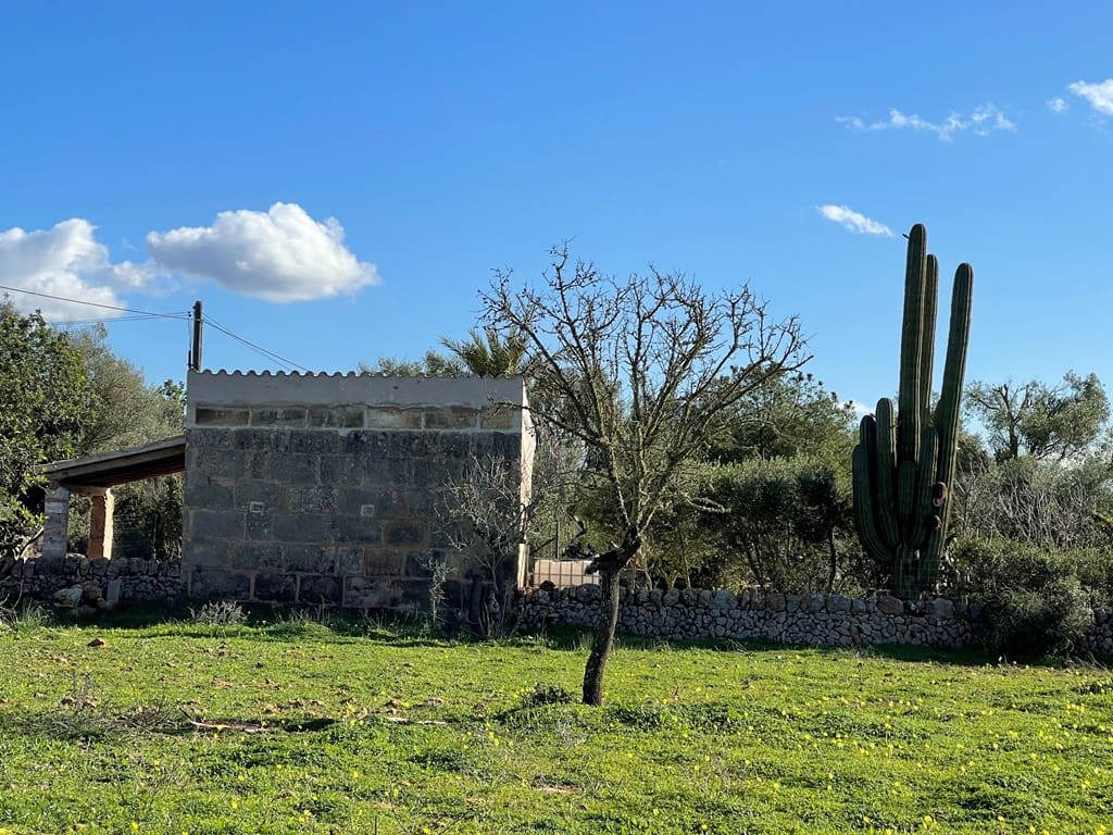 1 sypialnia Willa na sprzedaż w Campos - 498 000 € (Ref: 9033435)