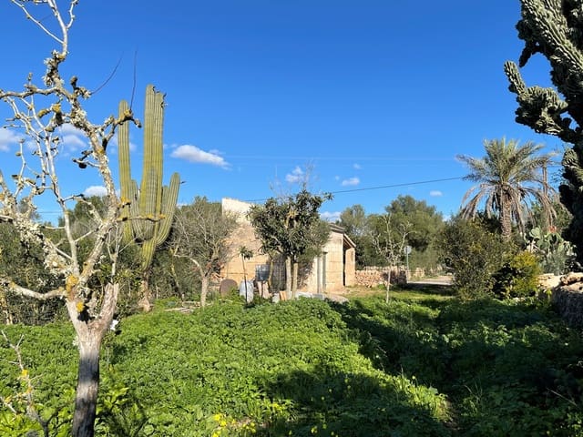 1 soverom Villa til salgs i Campos - € 498 000 (Ref: 9033435)