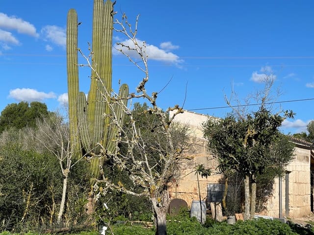 1 soveværelse Villa til salg i Campos - € 498.000 (Ref: 9033435)