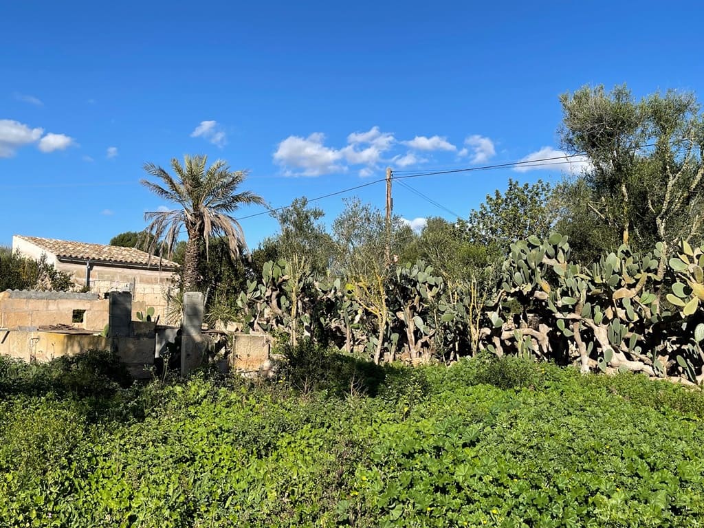 1 makuuhuone Huvila myytävänä paikassa Campos - 498 000 € (Ref: 9033435)