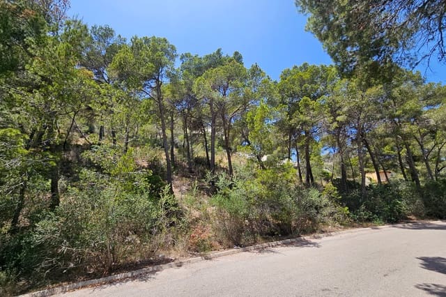 Solar/Parcela en Puerto de Andratx, Andratx en venta - 5.700.000 € (Ref: 10081581)