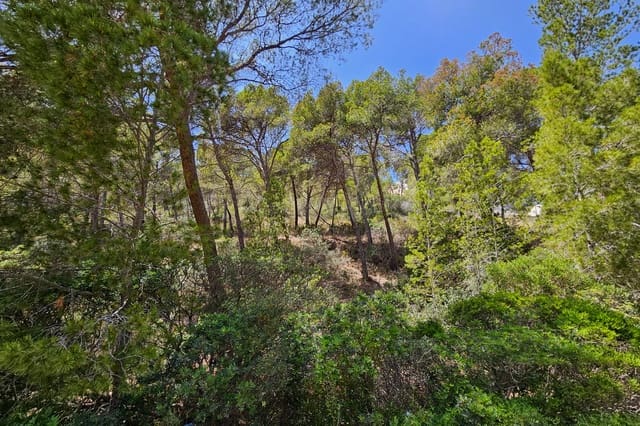 Solar/Parcela en Puerto de Andratx, Andratx en venta - 5.700.000 € (Ref: 10081581)