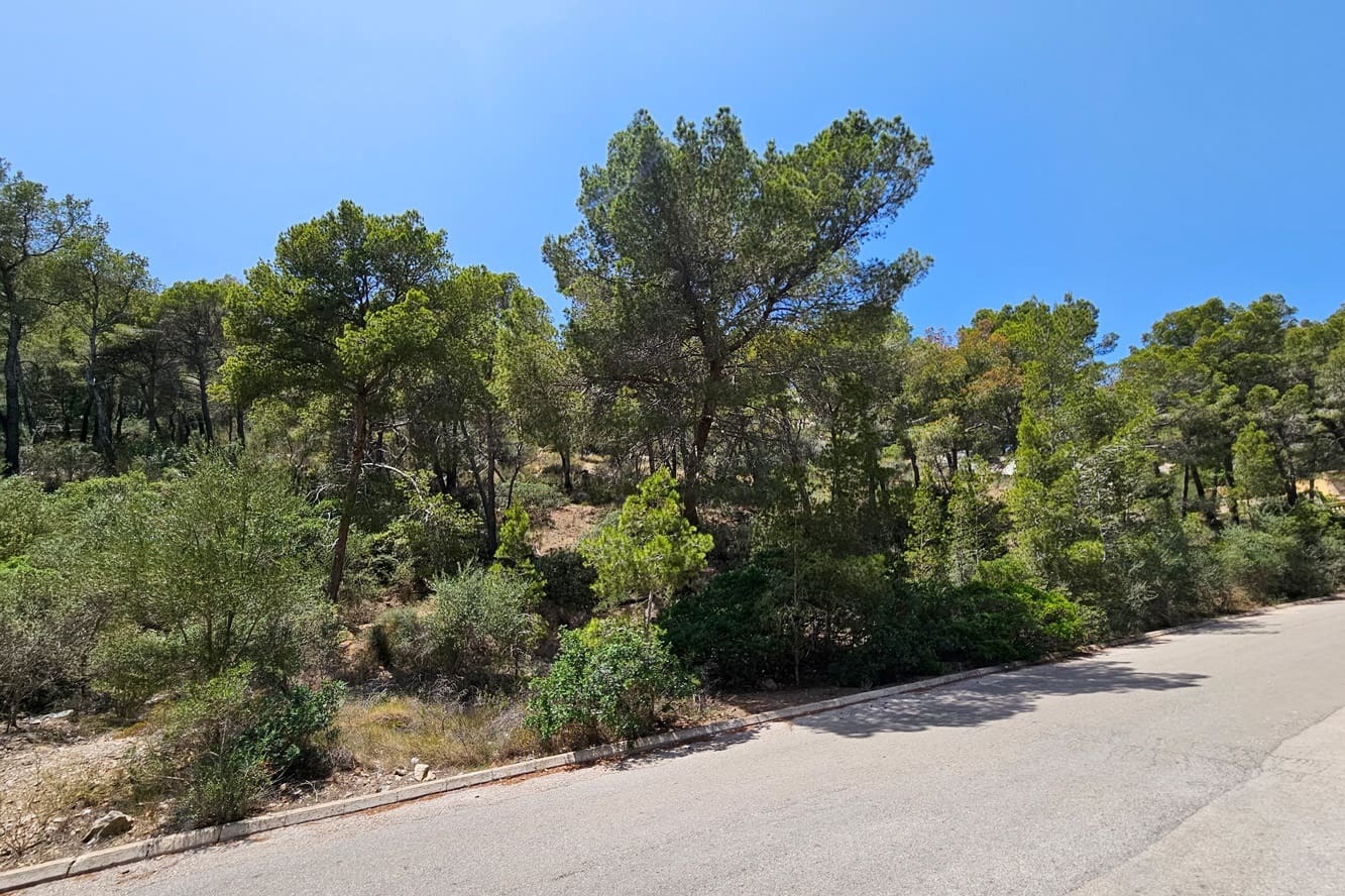 Solar/Parcela en Puerto de Andratx en venta - 5.700.000 € (Ref: 10081581)