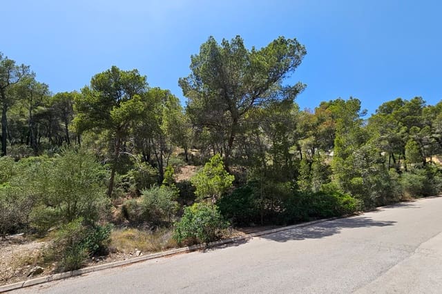 Solar/Parcela en Puerto de Andratx, Andratx en venta - 5.700.000 € (Ref: 10081581)