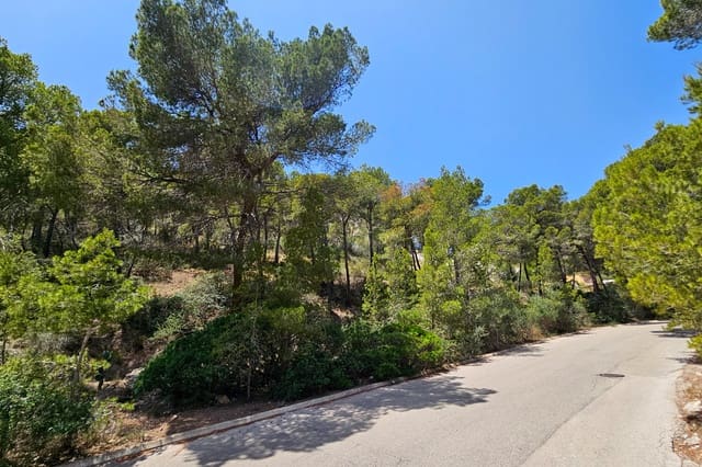 Solar/Parcela en Puerto de Andratx, Andratx en venta - 5.700.000 € (Ref: 10081581)