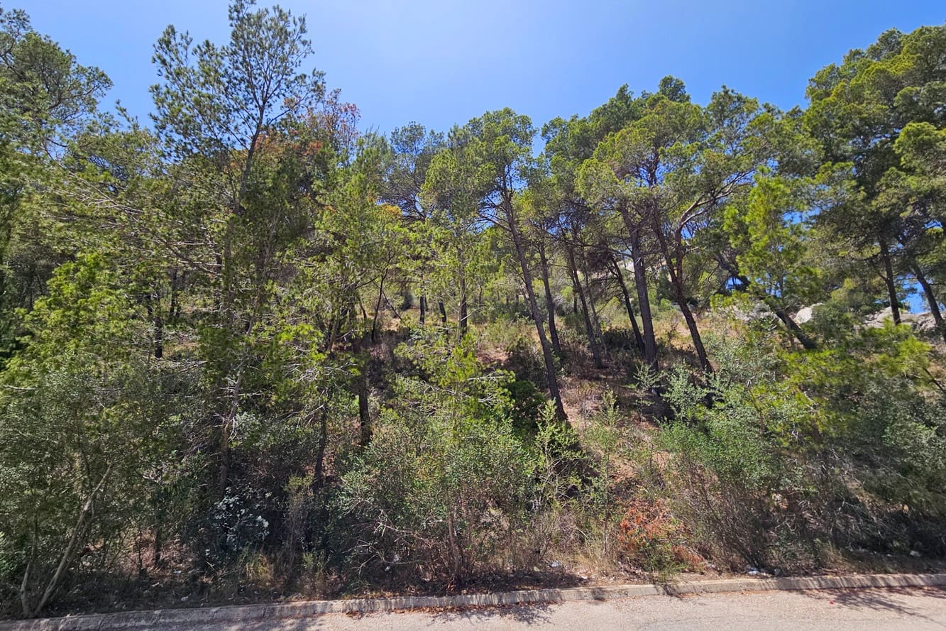 Solar/Parcela en Puerto de Andratx en venta - 5.700.000 € (Ref: 10081581)