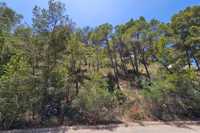 Solar/Parcela en Puerto de Andratx, Andratx en venta - 5.700.000 € (Ref: 10081581)