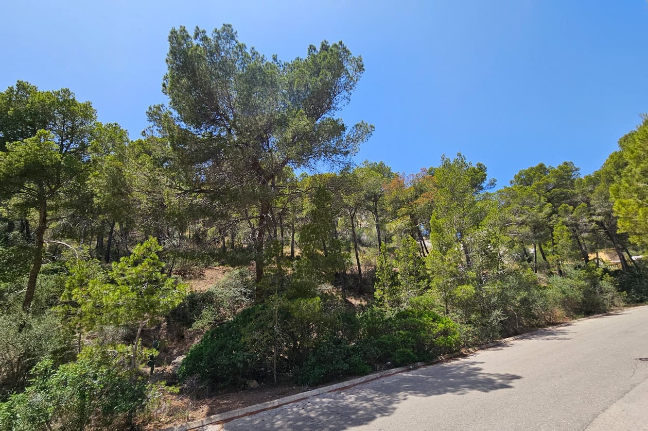 Solar/Parcela en Puerto de Andratx en venta - 2.300.000 € (Ref: 10081828)