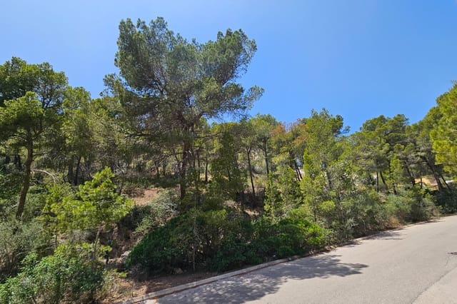 Solar/Parcela en Puerto de Andratx, Andratx en venta - 2.300.000 € (Ref: 10081828)