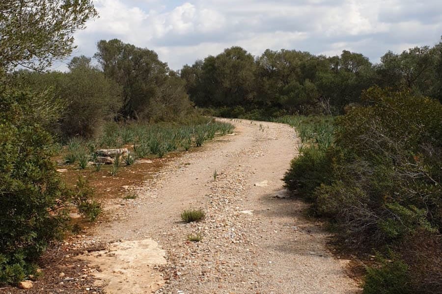 Tontti myytävänä paikassa Llucmajor - 980 000 € (Ref: 6326641)