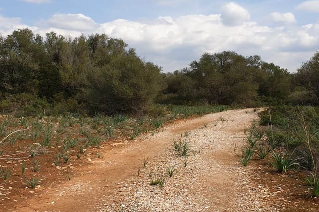 Tontti myytävänä paikassa Llucmajor - 980 000 € (Ref: 6326641)