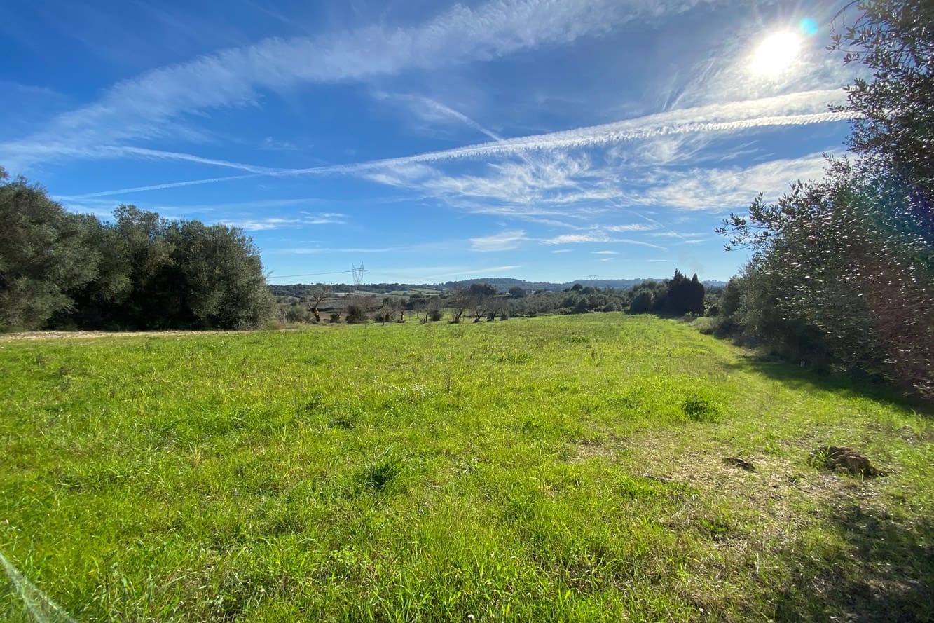 Ubebygd land til salgs i Muro - € 335 000 (Ref: 7450808)