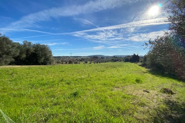 Undeveloped Land for sale in Muro - € 335,000 (Ref: 7450808)