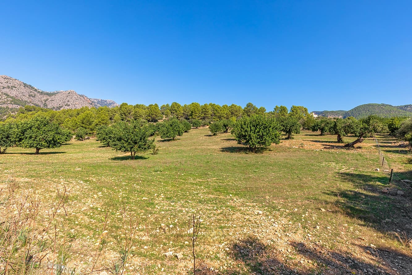 Finca/Country House for sale in Bunyola - € 2,850,000 (Ref: 7991827)