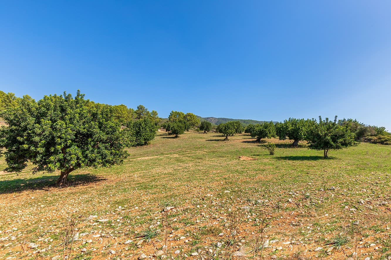 Finca/Country House for sale in Bunyola - € 2,850,000 (Ref: 7991827)