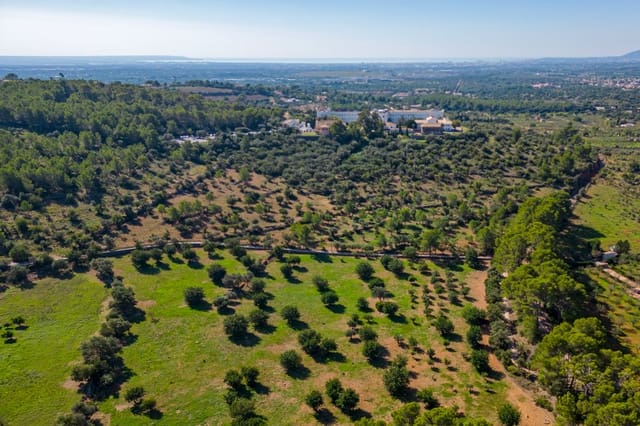 Quinta/Casa Rural para venda em Bunyola - 2 850 000 € (Ref: 7991827)