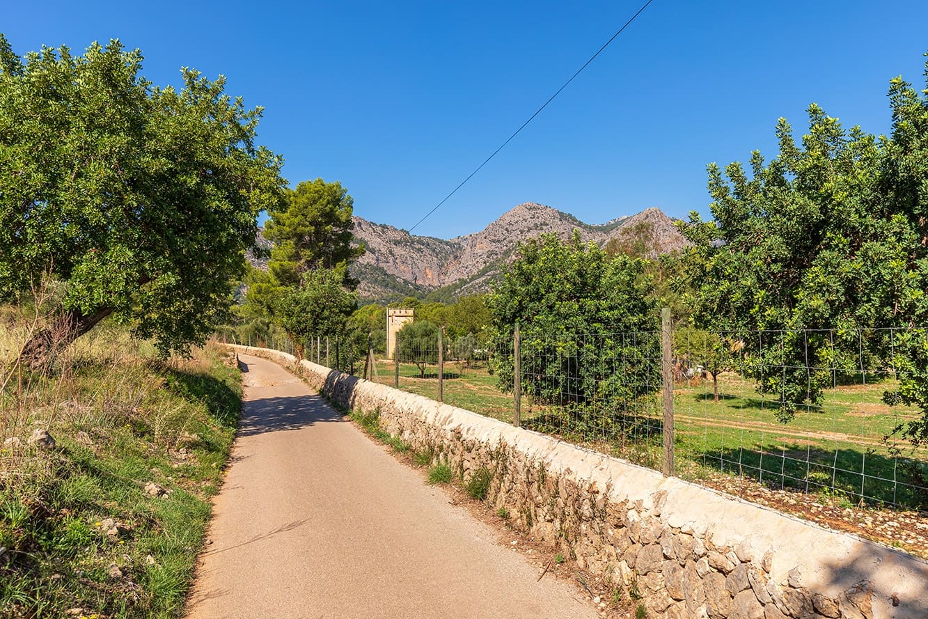 Finca/Country House for sale in Bunyola - € 2,850,000 (Ref: 7991827)