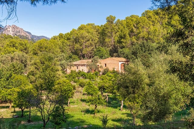 Quinta/Casa Rural para venda em Bunyola - 2 850 000 € (Ref: 7991827)