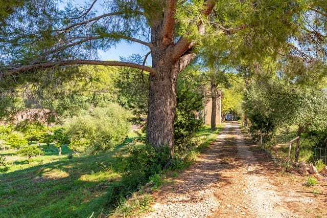 Quinta/Casa Rural para venda em Bunyola - 2 850 000 € (Ref: 7991827)