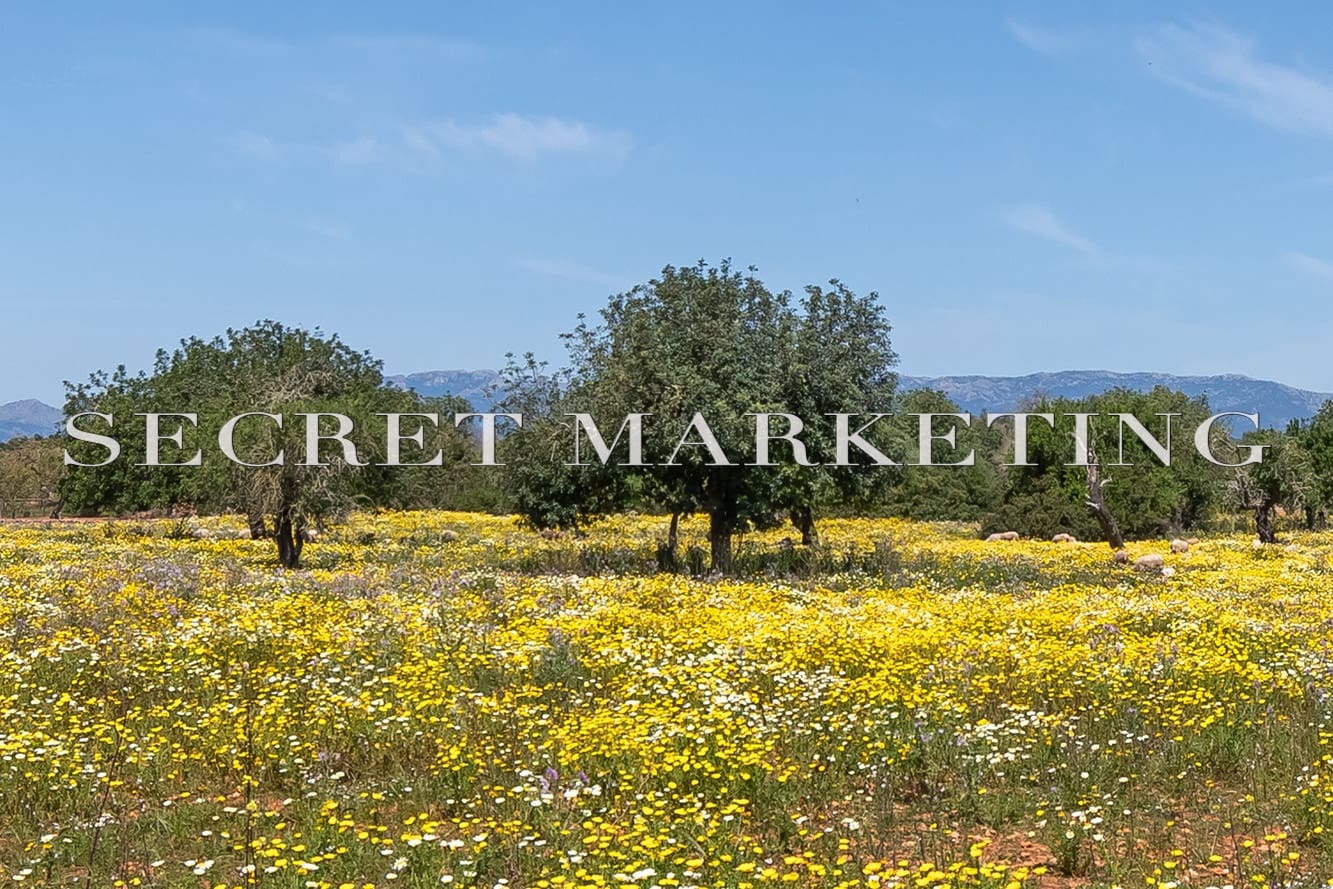 4 soveværelse Finca/Landehus til salg i Santanyi med swimmingpool - € 4.100.000 (Ref: 8233466)