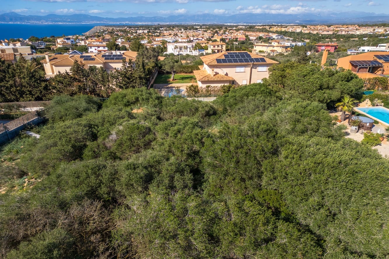 Tontti myytävänä paikassa Sa Torre (Llucmajor) - 799 000 € (Ref: 8839794)