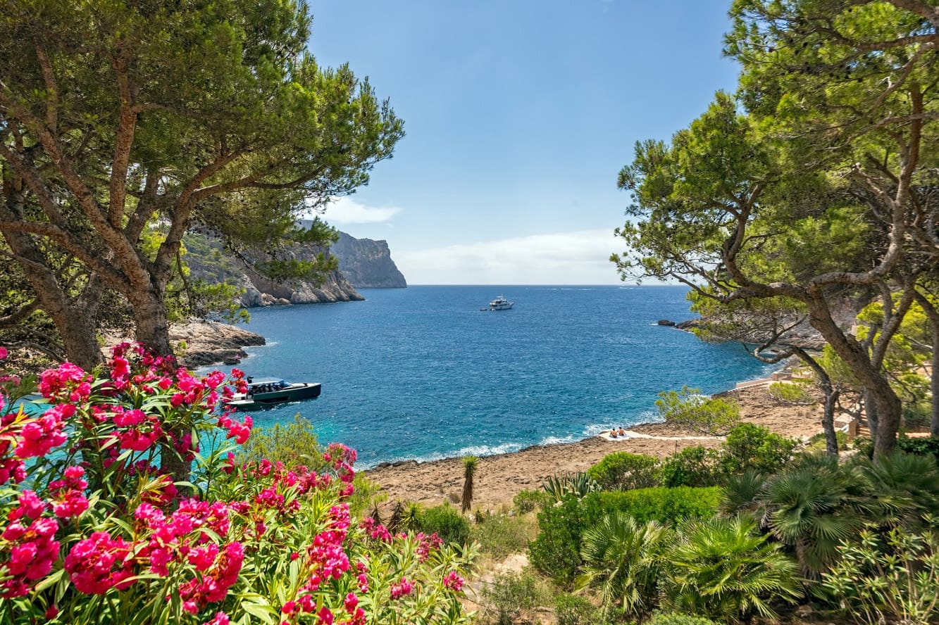 3 slaapkamer Penthouse te koop in Puerto de Andratx met zwembad - € 1.998.000 (Ref: 9184739)