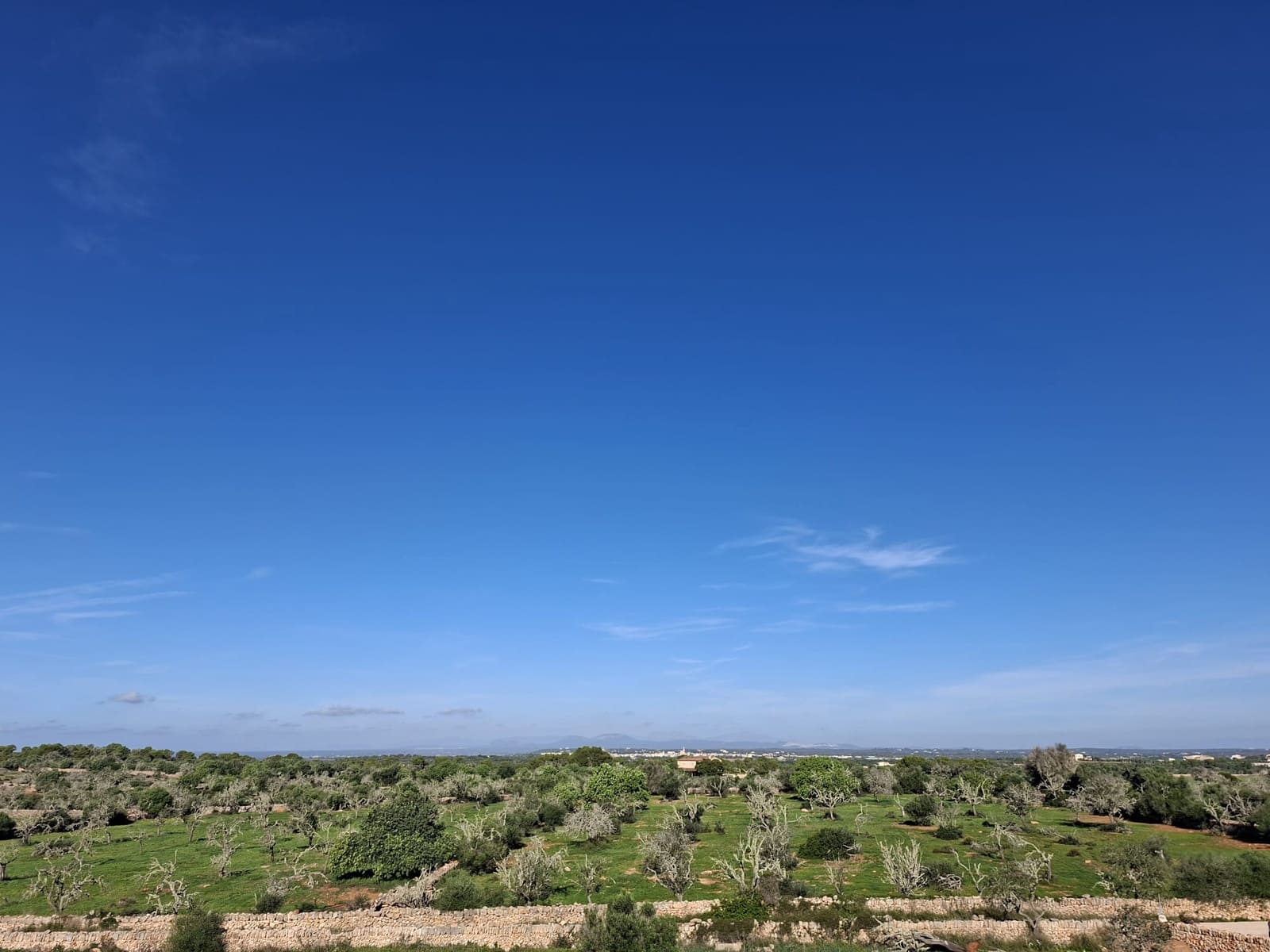 4 bedroom Finca/Country House for sale in Ses Salines with pool - € 2,400,000 (Ref: 9399821)