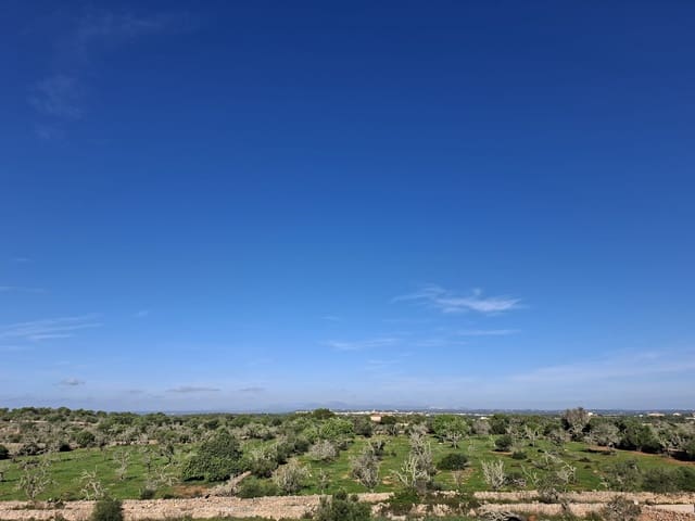 4 camera da letto Finca/Casa di Campagna in vendita in Ses Salines con piscina - 2.400.000 € (Rif: 9399821)