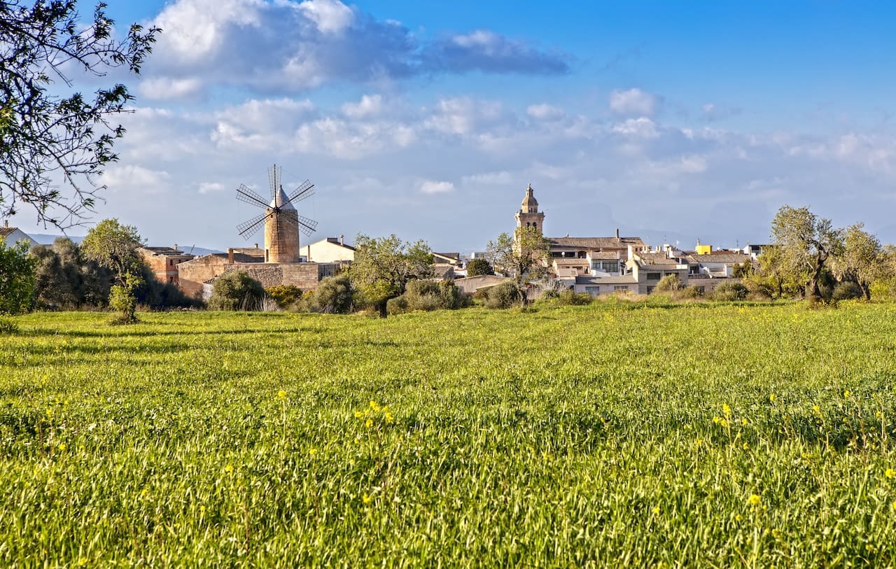 Chalet de 4 habitaciones en Algaida en venta con piscina - 1.500.000 € (Ref: 9465931)