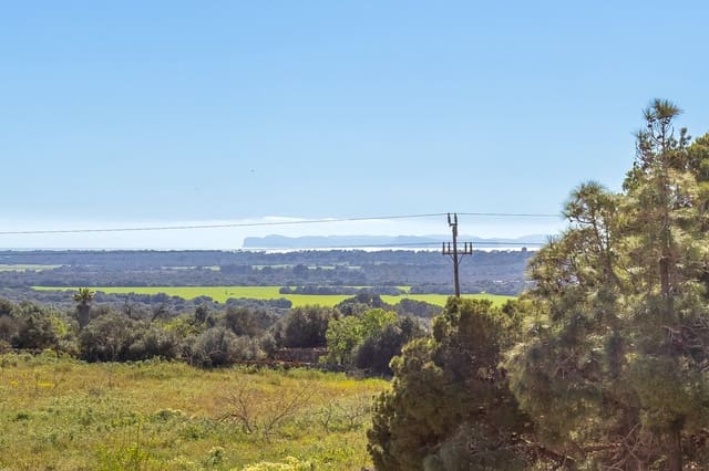 2 sovrum Takvåning till salu i Ses Salines med pool - 595 000 € (Ref: 9654318)