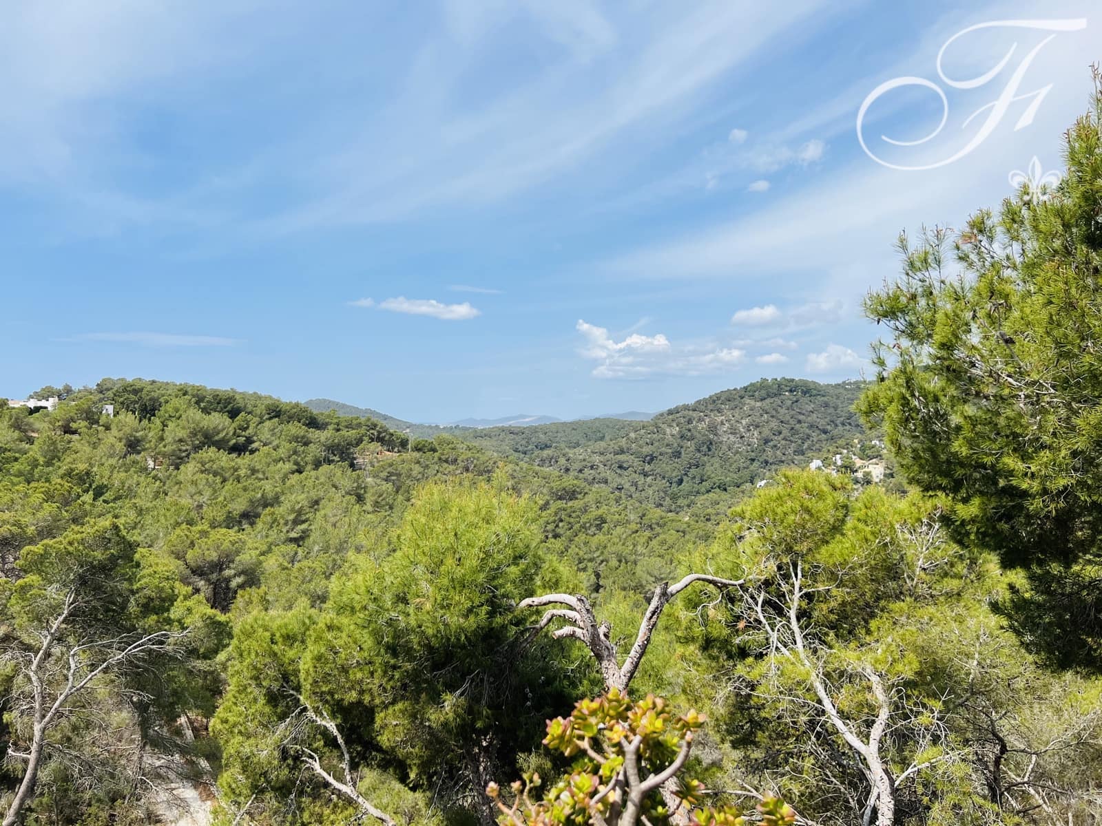 3 soverom Villa til salgs i Santa Eulalia / Santa Eularia med svømmebasseng - € 2 595 000 (Ref: 8878640)