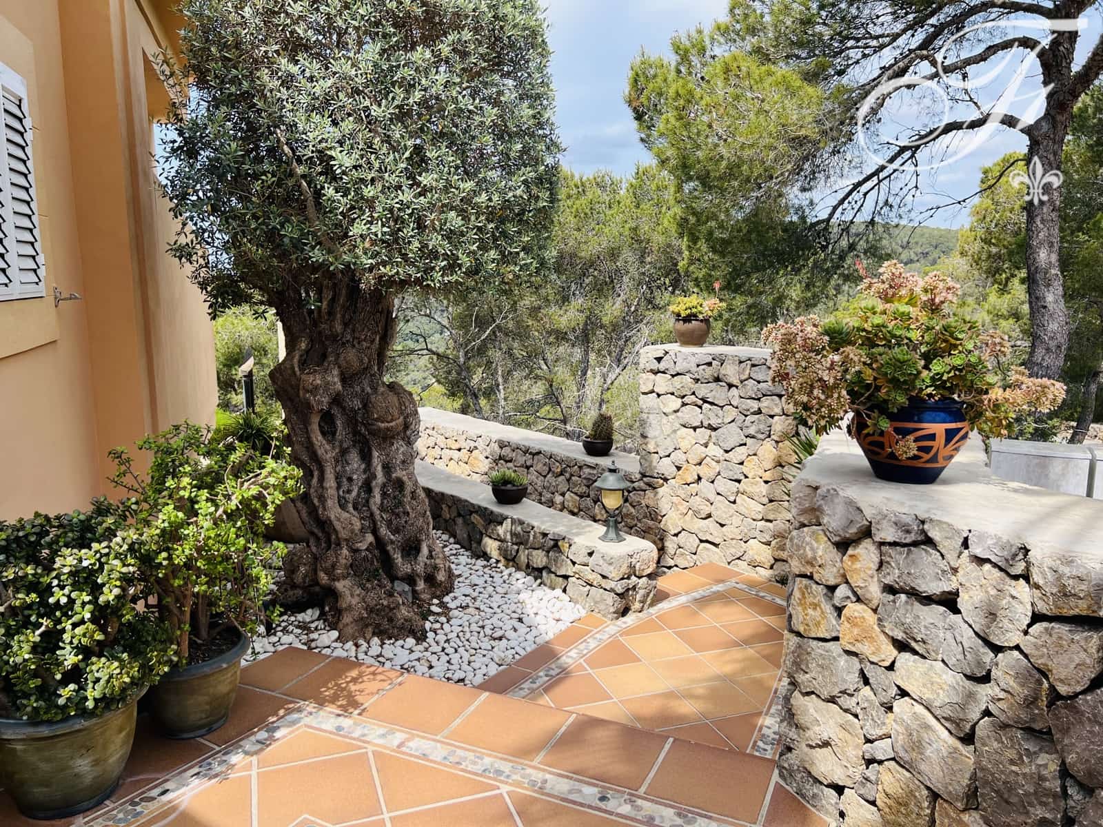 3 soverom Villa til salgs i Santa Eulalia / Santa Eularia med svømmebasseng - € 2 595 000 (Ref: 8878640)