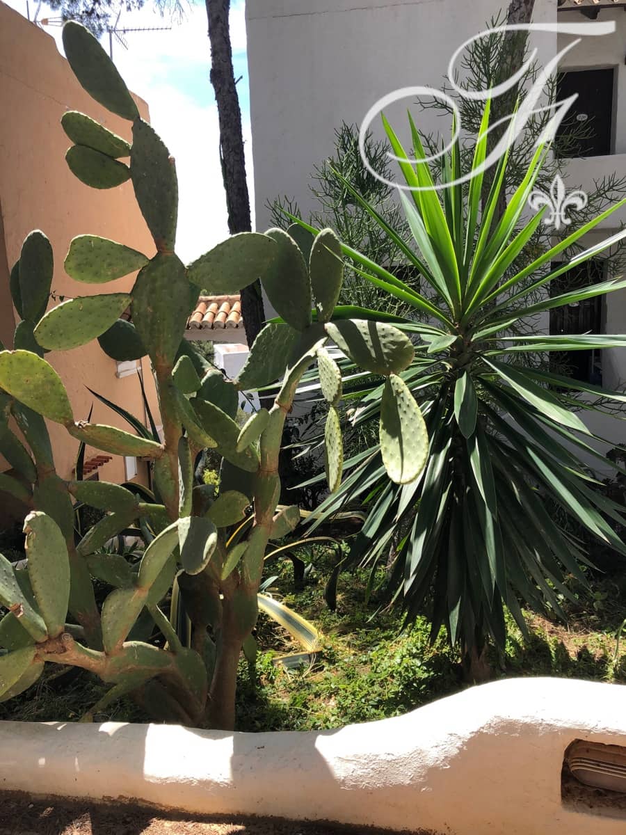 1 soveværelse Lejlighed til salg i Cala Vadella - € 370.000 (Ref: 9080746)