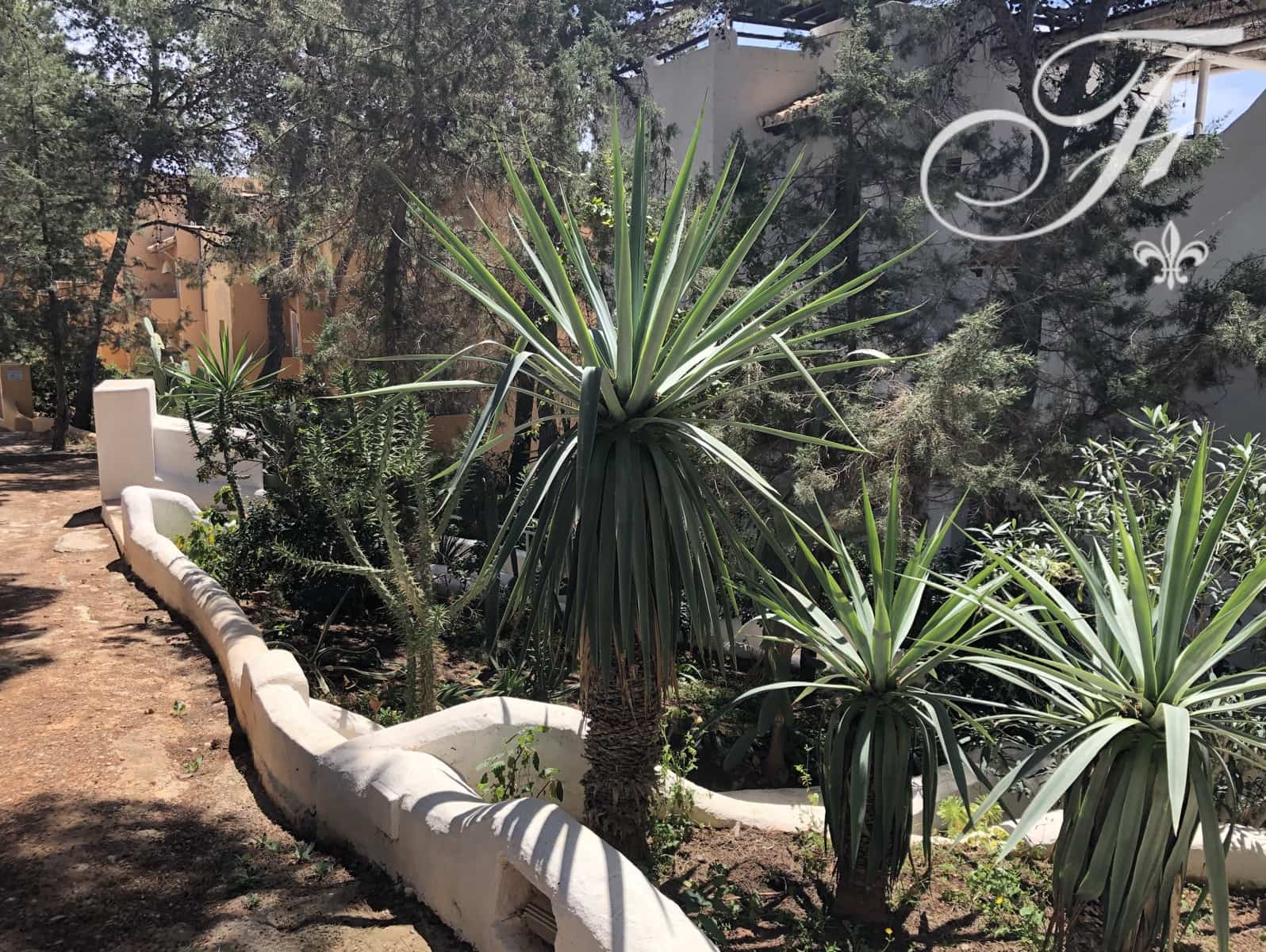 1 soveværelse Lejlighed til salg i Cala Vadella - € 370.000 (Ref: 9080746)