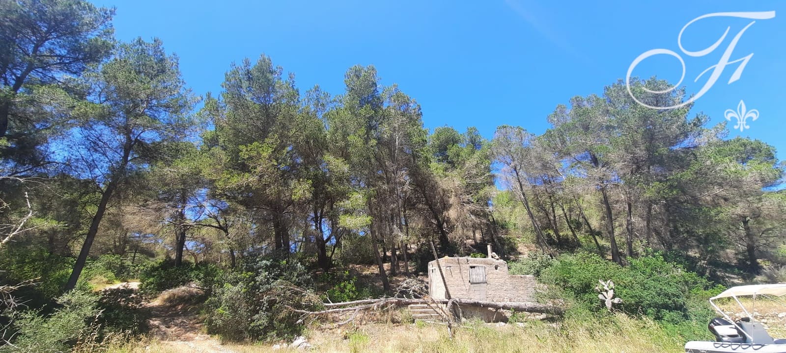 Undeveloped Land for sale in Sant Jordi de Ses Salines - € 1,400,000 (Ref: 9865726)