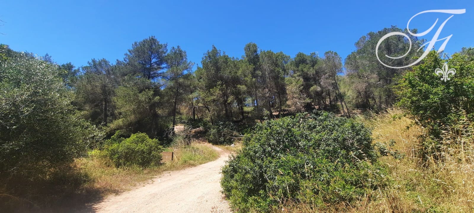 Undeveloped Land for sale in Sant Jordi de Ses Salines - € 1,400,000 (Ref: 9865726)