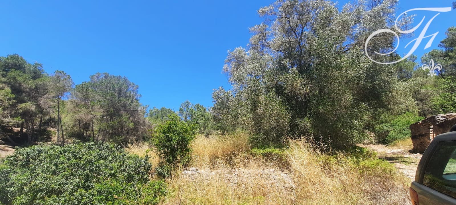 Undeveloped Land for sale in Sant Jordi de Ses Salines - € 1,400,000 (Ref: 9865726)