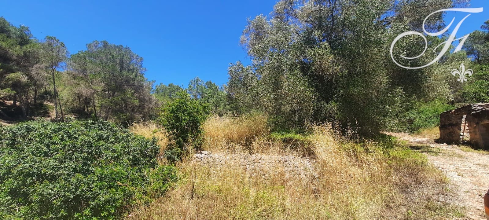 Undeveloped Land for sale in Sant Jordi de Ses Salines - € 1,400,000 (Ref: 9865726)
