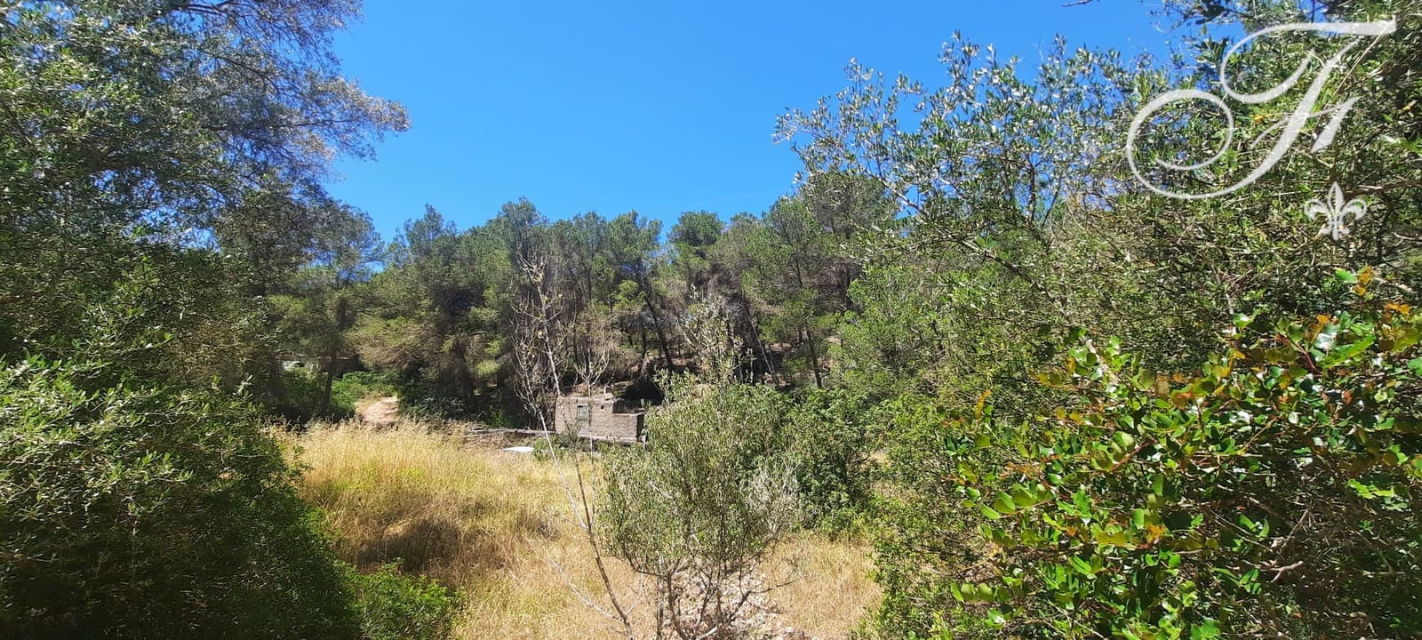 Undeveloped Land for sale in Sant Jordi de Ses Salines - € 1,400,000 (Ref: 9865726)