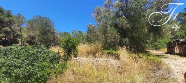 Rakentamaton maa myytävänä paikassa Sant Jordi de Ses Salines, San Jose / Sant Josep de Sa Talaia - 1 400 000 € (Ref: 9865726)