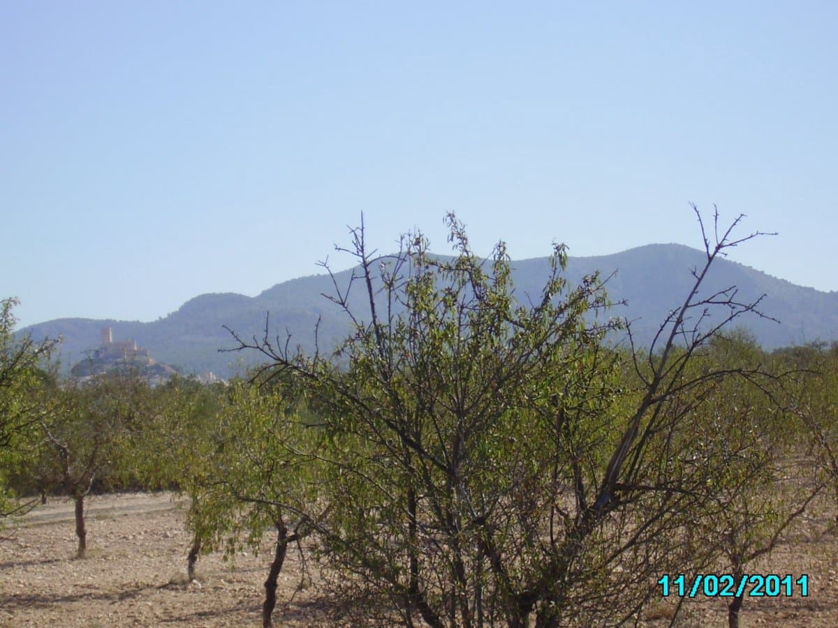 Terreno/Finca Rústica en Biar en venta - 70.000 € (Ref: 4752764)