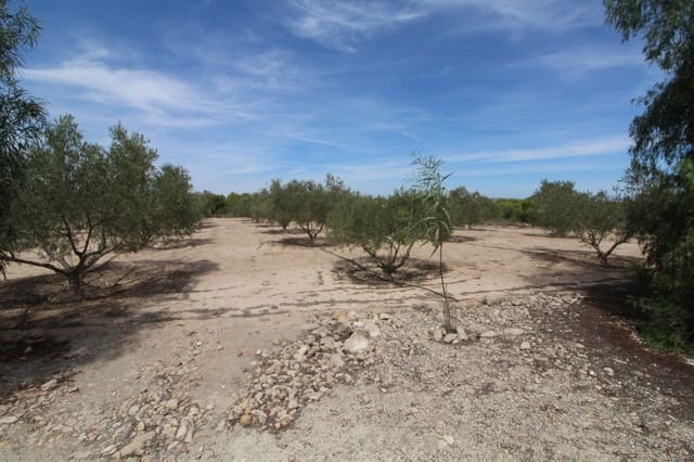 Undeveloped Land for sale in Elche / Elx - € 79,000 (Ref: 7767669)