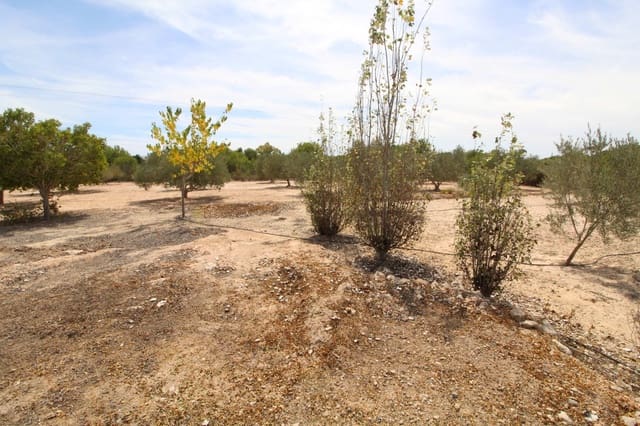 Undeveloped Land for sale in Elche / Elx - € 79,000 (Ref: 7767669)